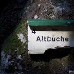 Altbuche